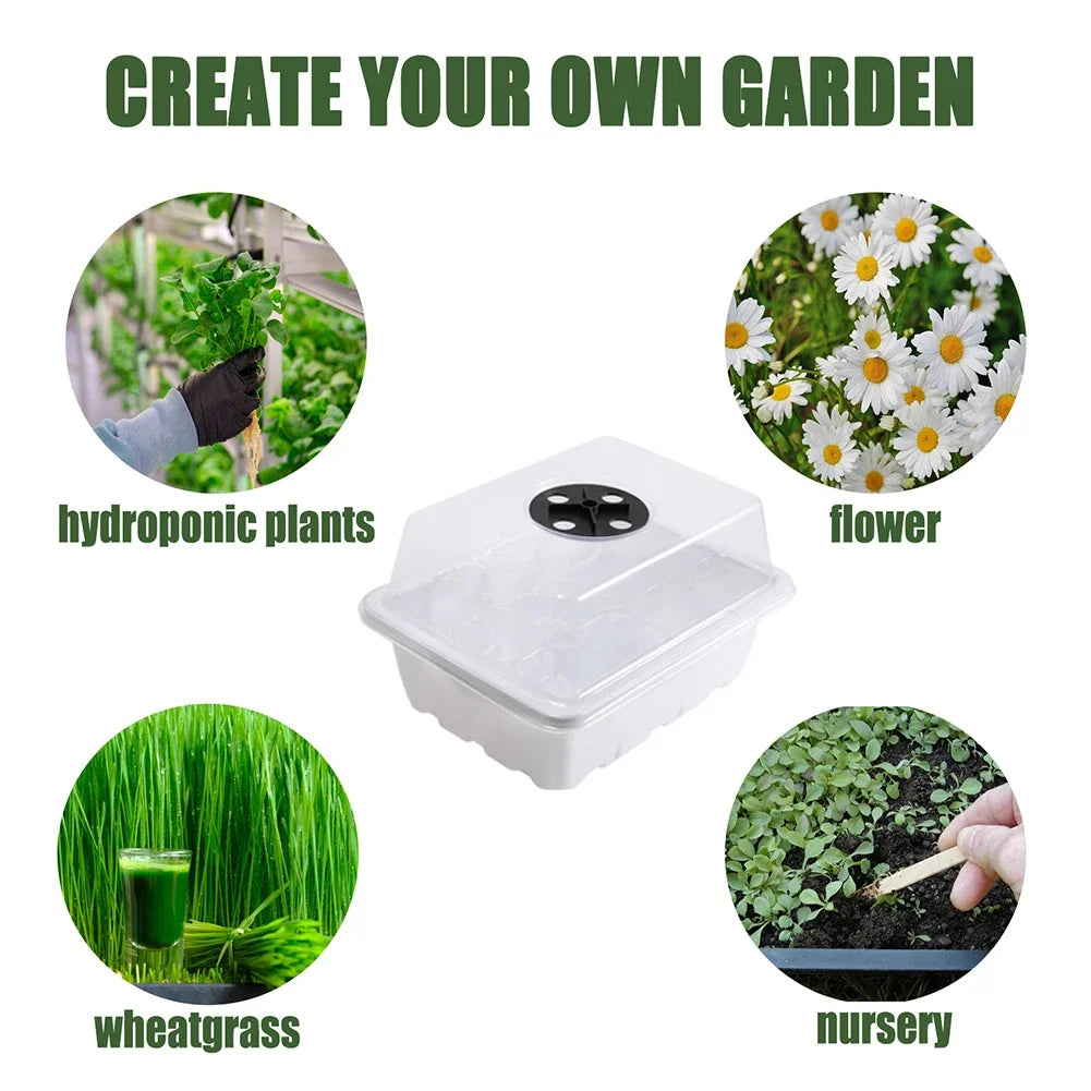 Seed Starter Tray with Ventilation Hole