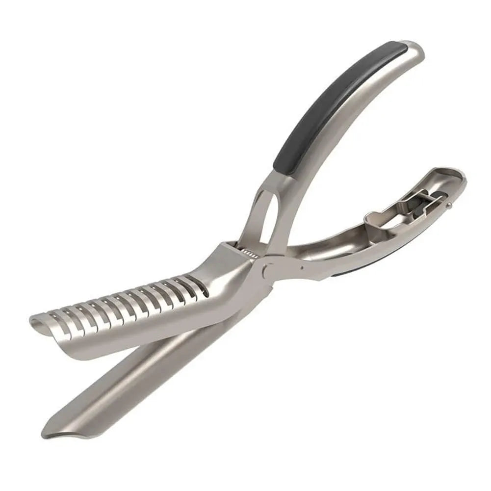 Stainless Steel BBQ Rib Membrane Remover, Catfish Skinner