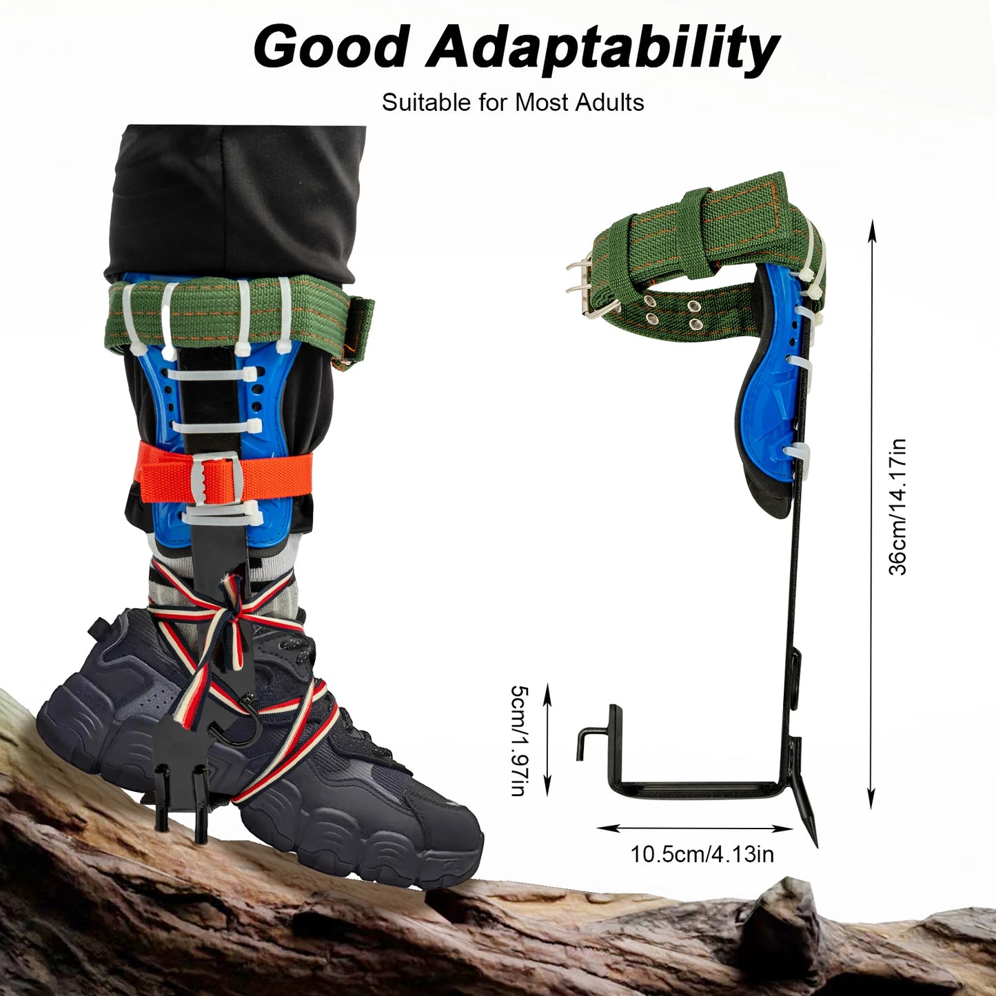 Tree Climbing Spike Set with Safety Belt, Load 100kg for Climbing, Logging, Picking, Hunting and More