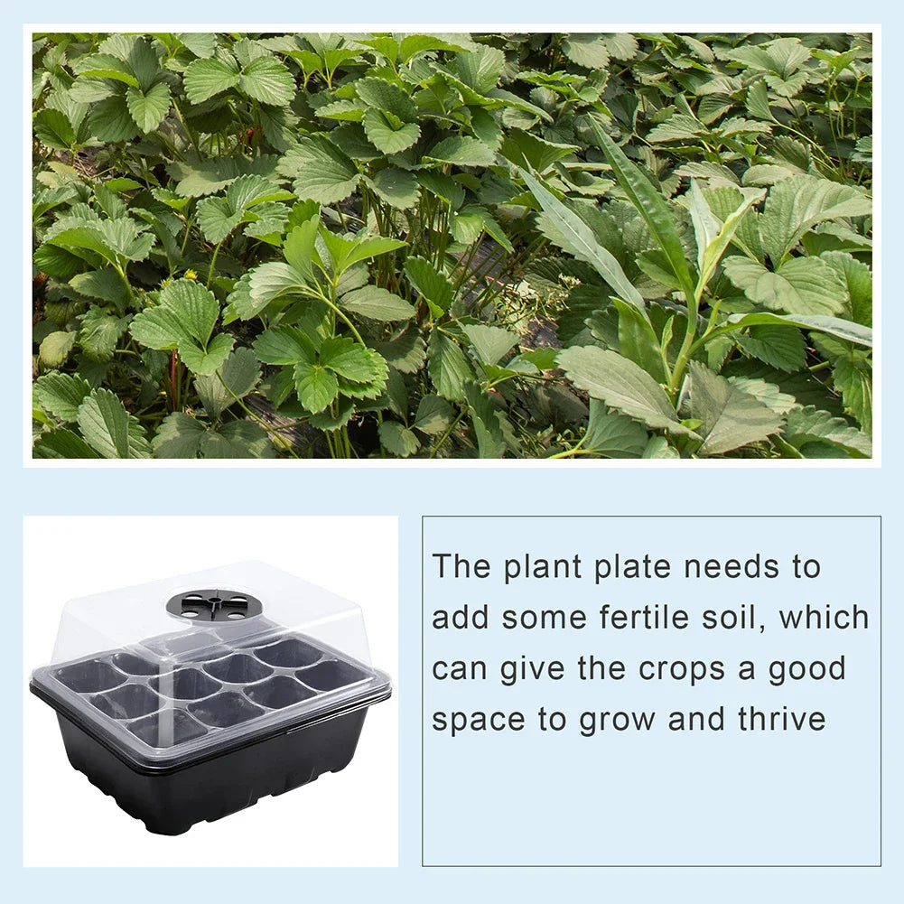 Seed Starter Tray with Ventilation Hole